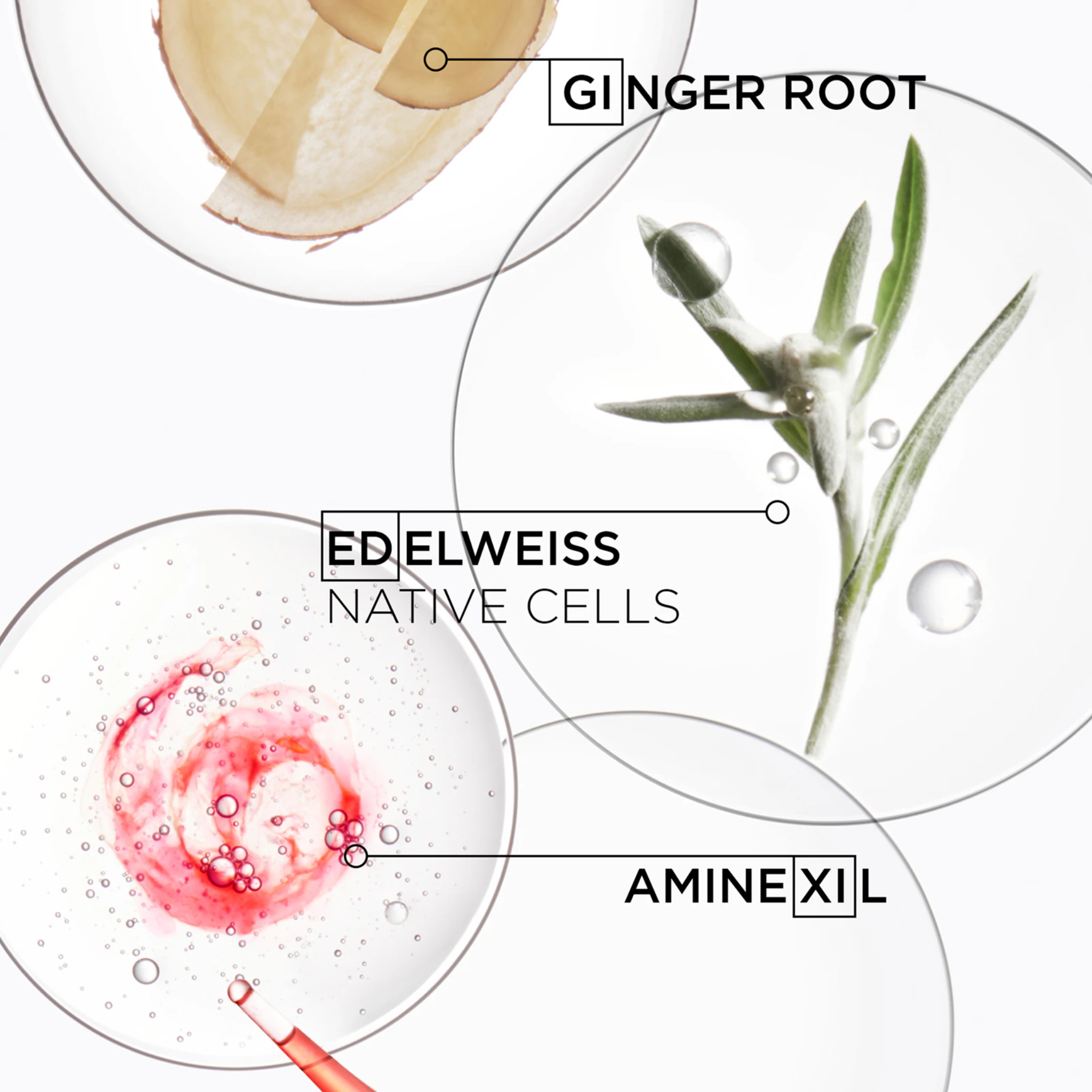 Kérastase - Sérum anti chute fortifiant - 90 ML KERASTASE