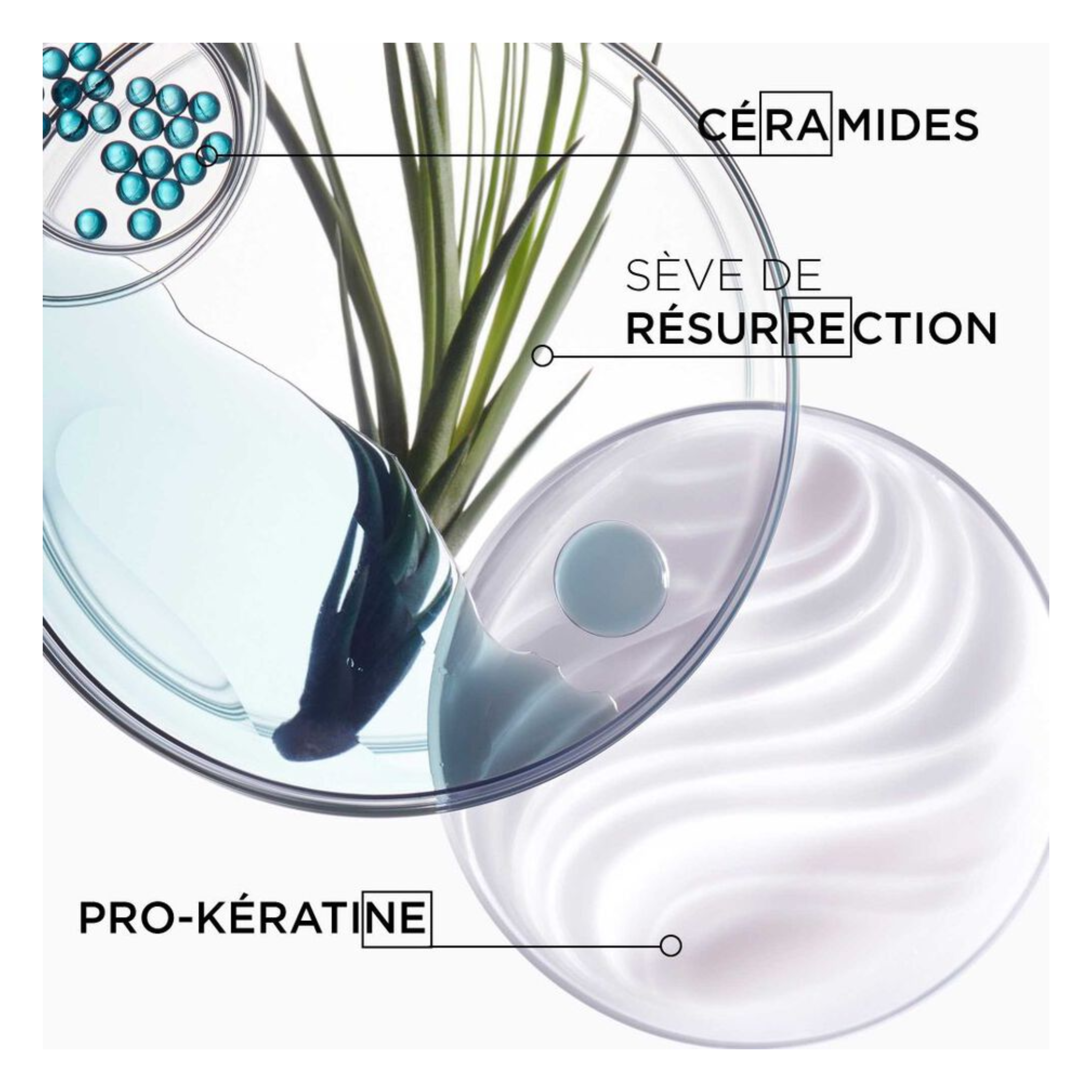 Kérastase - Bain force architecte -  250 ML KERASTASE