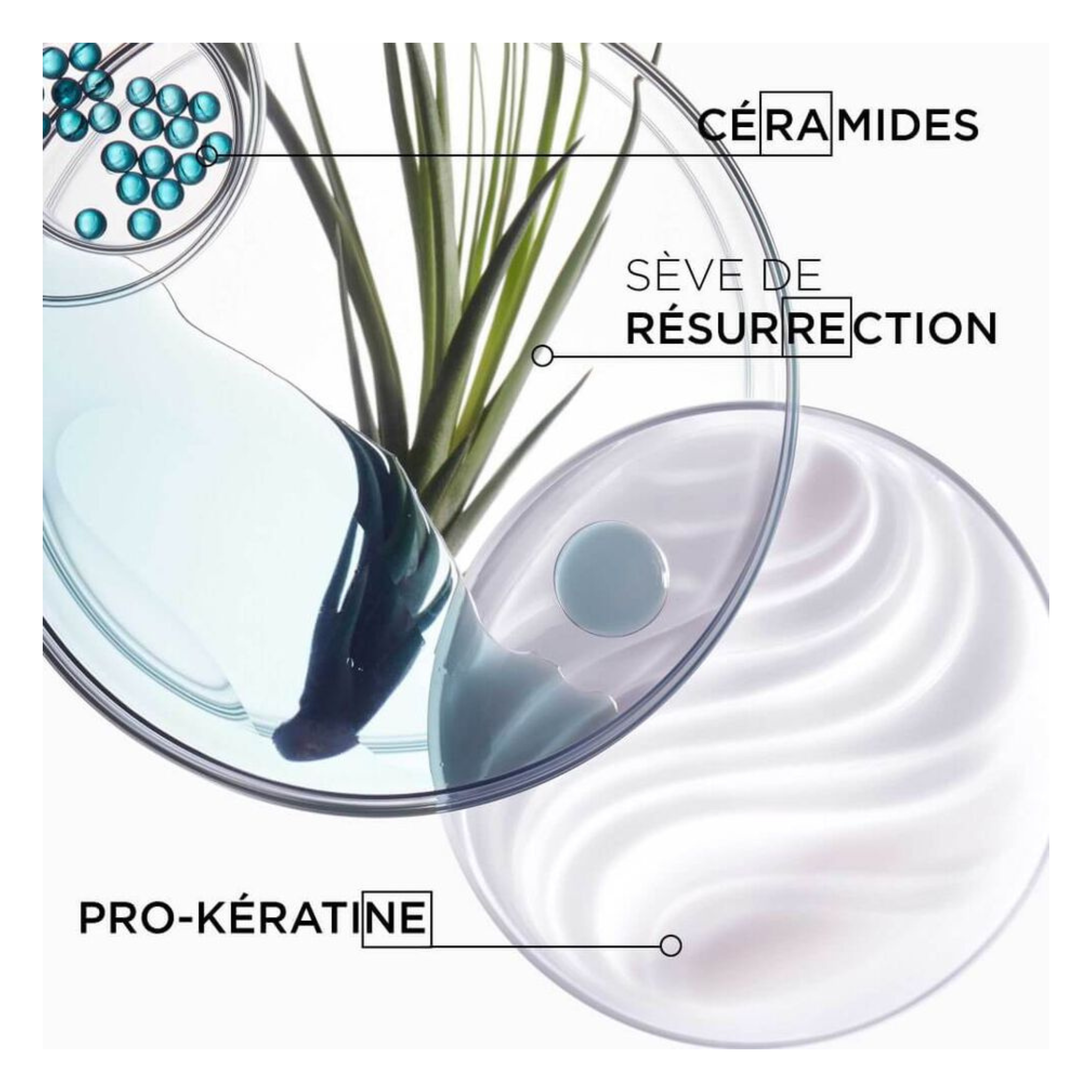 Kérastase - Résistance – Routine Bain & Masque Force architecte