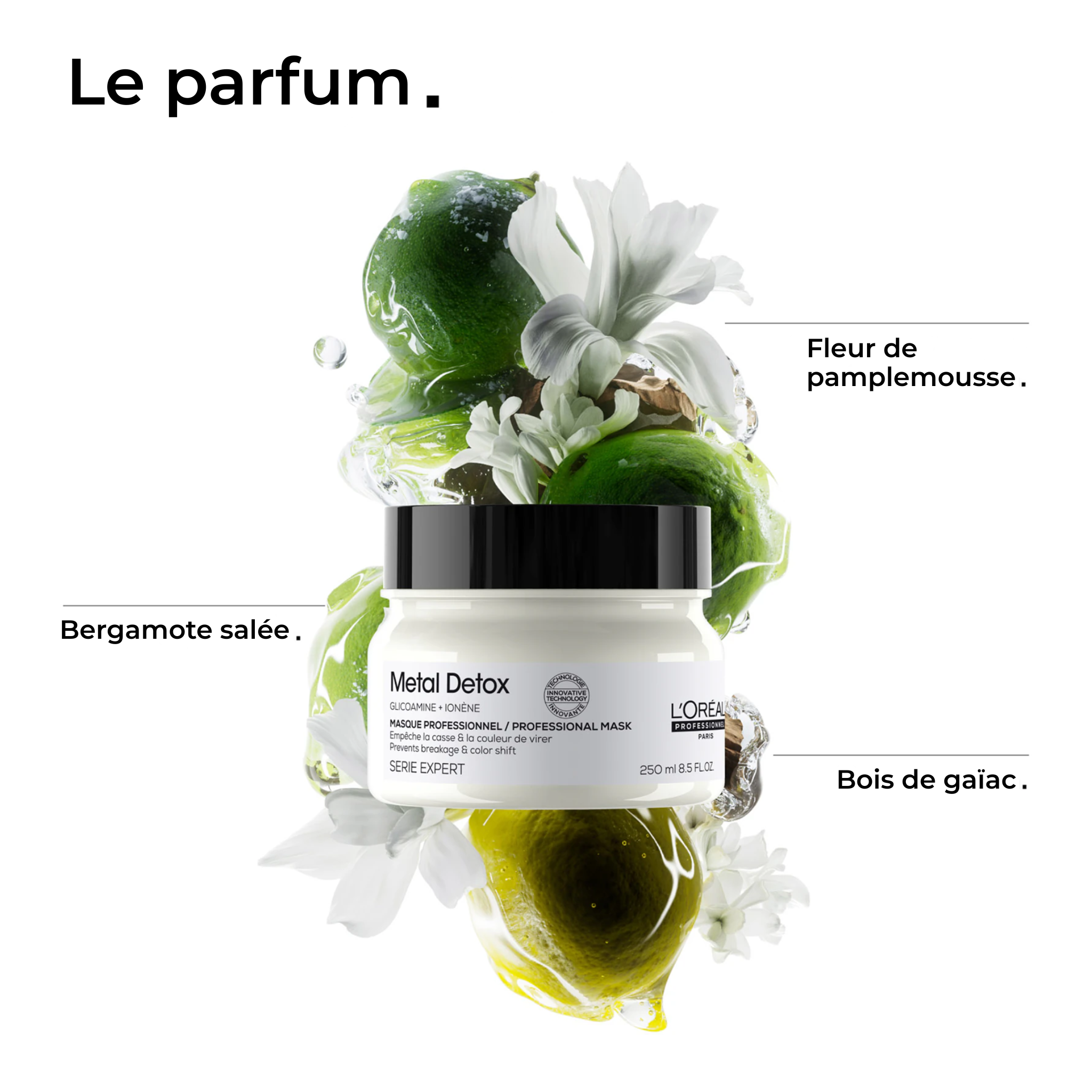 L'Oréal Professionnel - Metal Detox - Masque - 250 ML L'OREAL PROFESSIONNEL